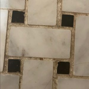 Meet your Posher, Wayne